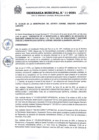 Vista preliminar de documento Ordenanza Municipal N° 011-2024
