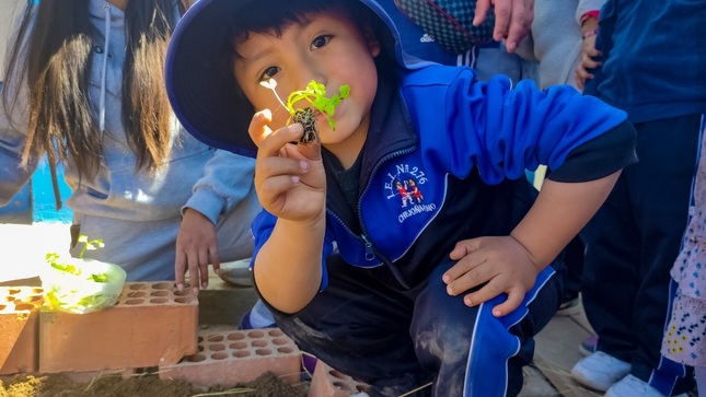 Con la participación de padres de familia y estudiantes de la I.E. I N°276 Chejoña se desarrolló jornada de plantación 