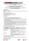 Vista preliminar de documento 01.Bases de Practicas N° 021-2024-ANIN