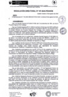 Vista preliminar de documento rd197-2024