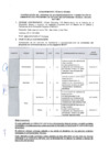 Vista preliminar de documento Requerimiento Técnico Mínimo - Décimo Séptimo