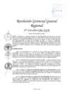 Vista preliminar de documento RGGR 218-2024-GRL-GGR