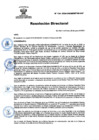 Vista preliminar de documento RD Nº 194-2024-DGINSM-HD-HN