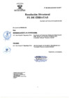 Vista preliminar de documento FE DE ERRATAS RD Nº 089-2024-DGINSM-HD-HN