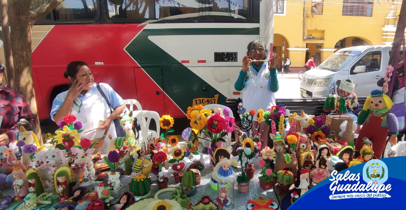ADULTOS MAYORES DEL DISTRITO DE SALAS – GUADALUPE RESALTAN SU CREATIVIDAD Y EMPRENDIMIENTO EN LA PRIMERA FERIA REGIONAL DE ICA