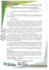 Vista preliminar de documento Resolución de Alcaldia