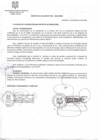 Vista preliminar de documento Decreto de Alcaldia