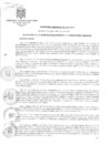 Vista preliminar de documento Ordenanza Municipal