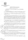 Vista preliminar de documento Ordenanza Municipal