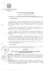 Vista preliminar de documento Ordenanza Municipal