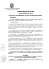 Vista preliminar de documento Ordenanza Municipal