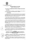 Vista preliminar de documento Ordenanza Municipal