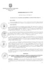 Vista preliminar de documento Ordenanza Municipal