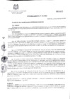 Vista preliminar de documento Ordenanza Municipal