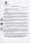 Vista preliminar de documento Ordenanza Municipal