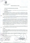 Vista preliminar de documento Ordenanza Municipal