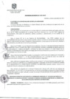 Vista preliminar de documento Ordenanza Municipal