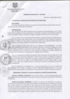 Vista preliminar de documento Ordenanza Municipal