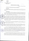 Vista preliminar de documento Ordenanza Municipal