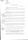 Vista preliminar de documento Ordenanza Municipal