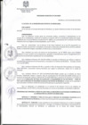 Vista preliminar de documento Ordenanza Municipal