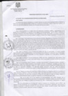 Vista preliminar de documento Ordenanza Municipal