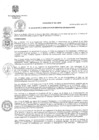 Vista preliminar de documento Ordenanza Municipal