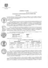 Vista preliminar de documento Ordenanza Municipal