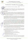 Vista preliminar de documento RA_239_2024_MDI