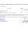 Vista preliminar de documento Modificaciones al Cuadro Multianual de Necesidades Nº 000000103-2024-MDSA