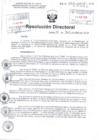 Vista preliminar de documento R.D N° 306-2018-HNDAC pdf