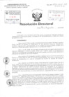 Vista preliminar de documento R.D N° 294-2018-HNDAC pdf