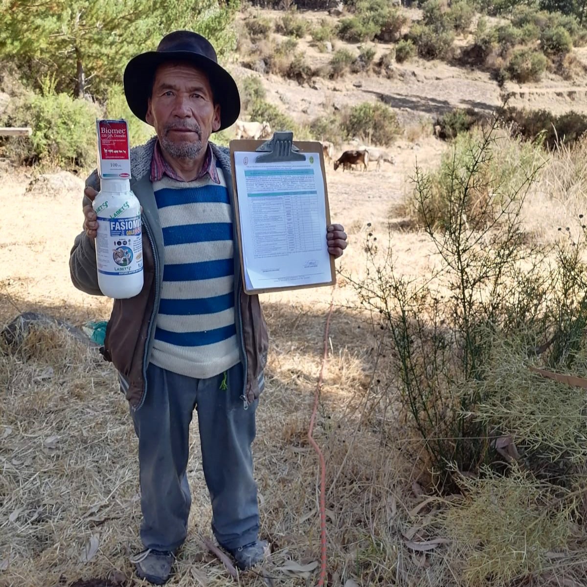 GORE Ayacucho impulsa campañas de desparasitación y vitaminización en Huanca Sancos