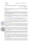 Vista preliminar de documento RG. 000666-2024-GSATDE.