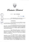 Vista preliminar de documento RD N° 264-2024