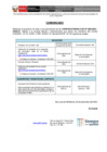 Vista preliminar de documento Reprogramación del cronograma del proceso CAS 080 -2024