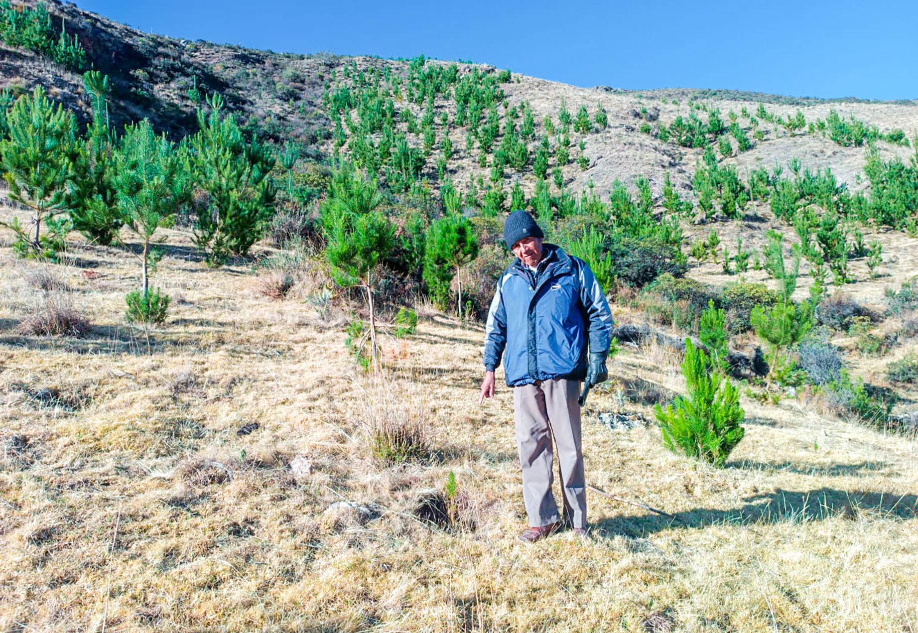 DRA Ayacucho monitorea 450 mil especies forestales instalados en Fajardo
