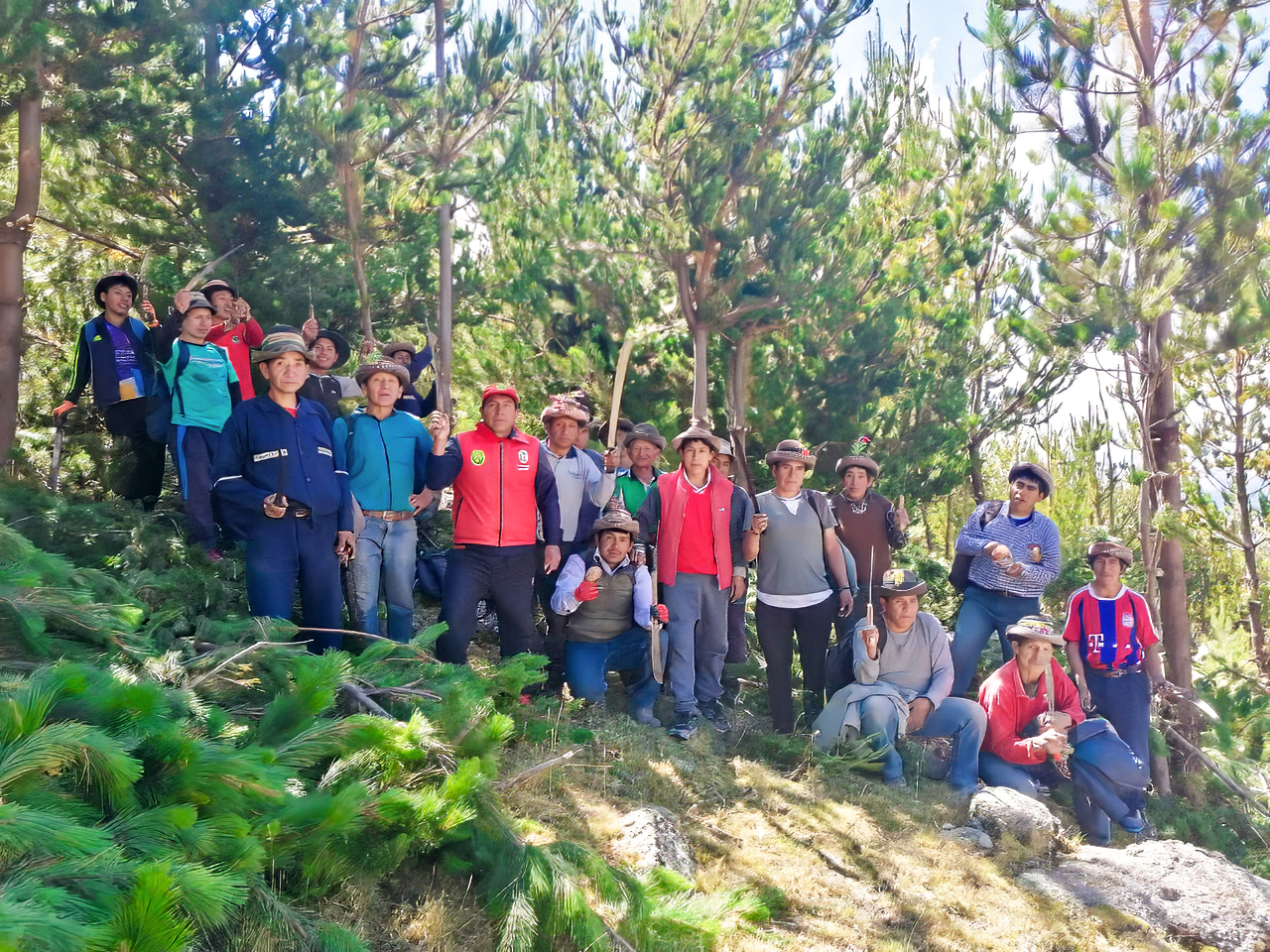 DRA Ayacucho monitorea 450 mil especies forestales instalados en Fajardo