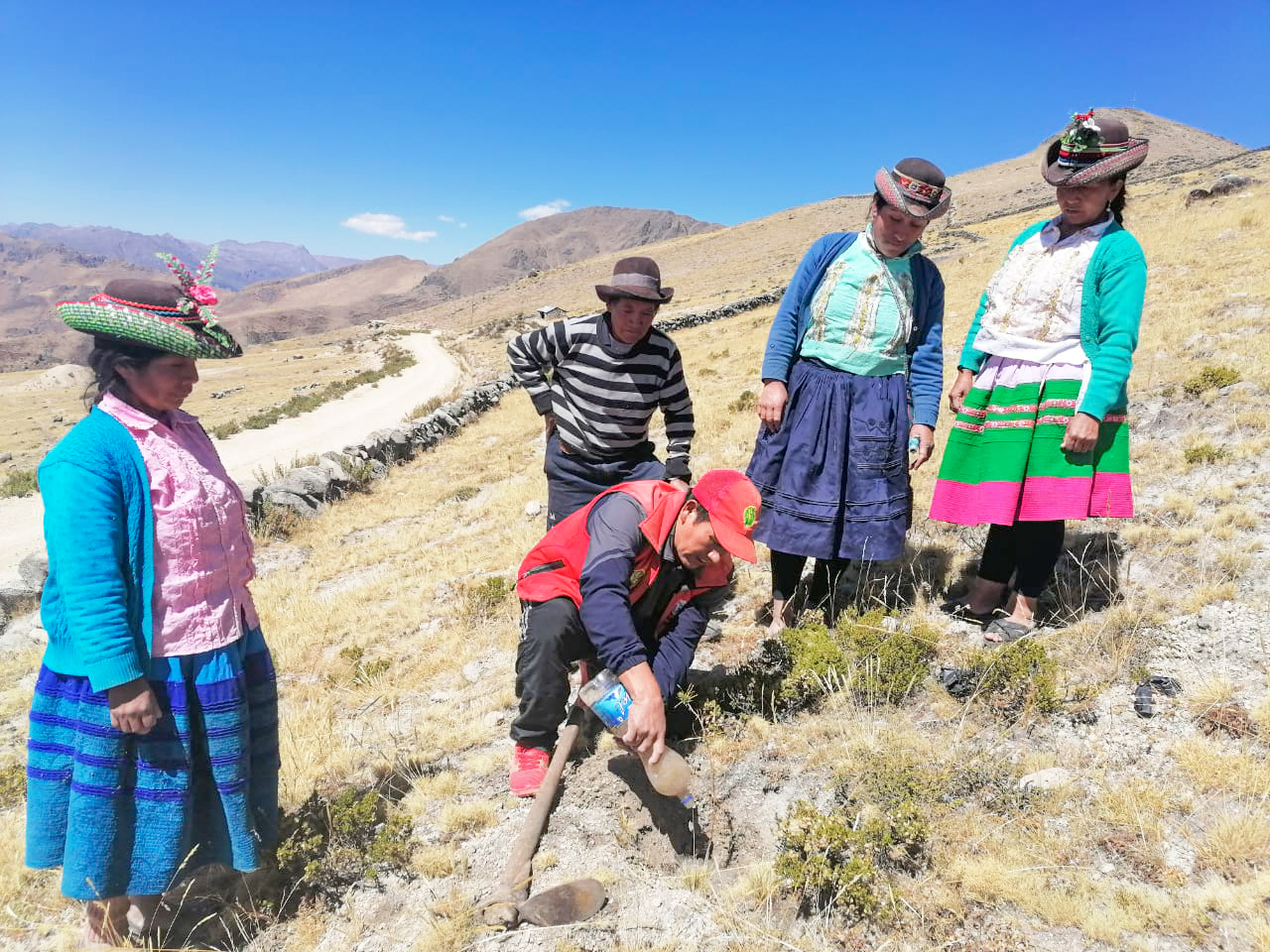 DRA Ayacucho monitorea 450 mil especies forestales instalados en Fajardo