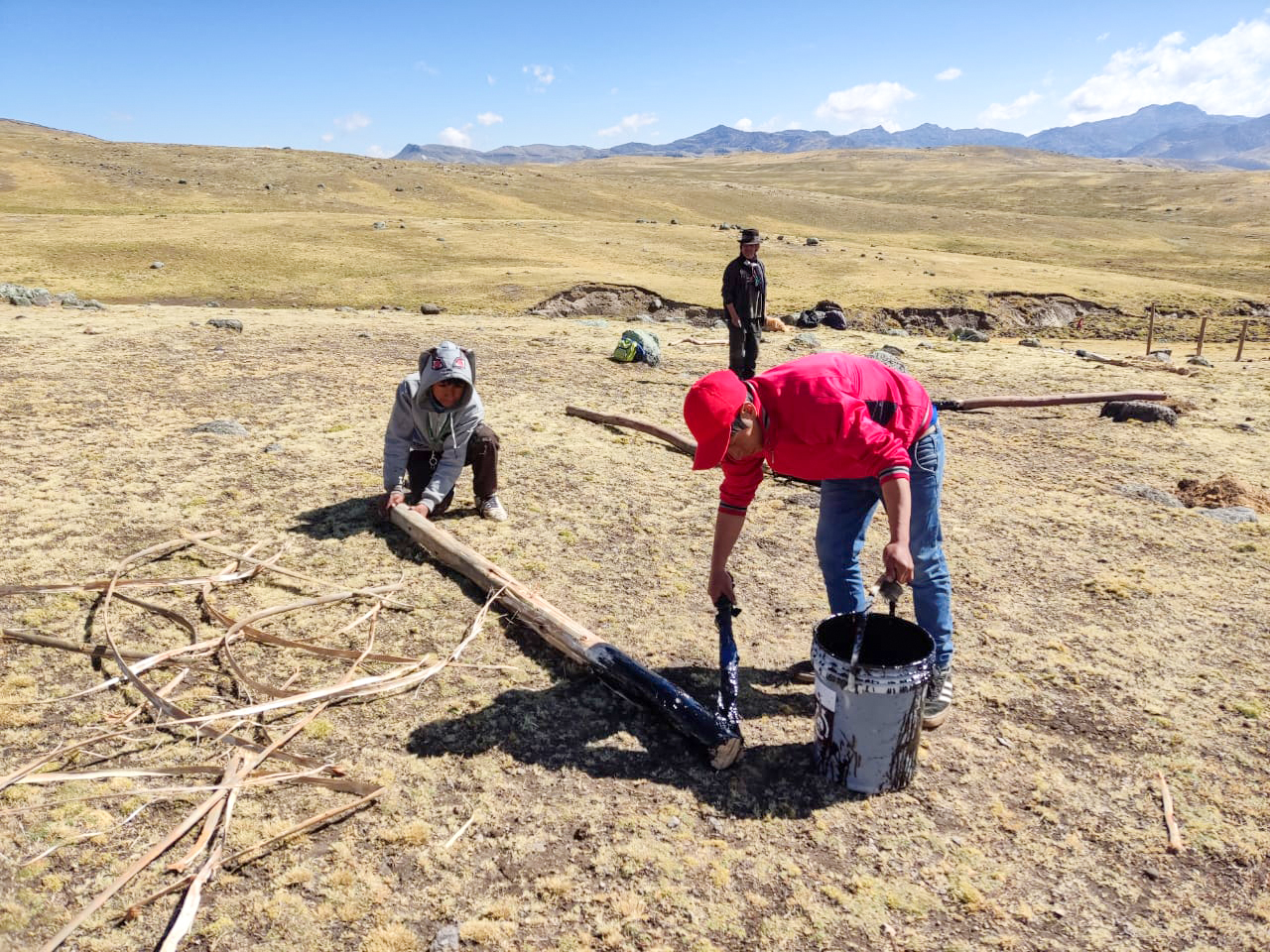 Avanza instalación de cercos de clausura para fortalecer sector alpaquero