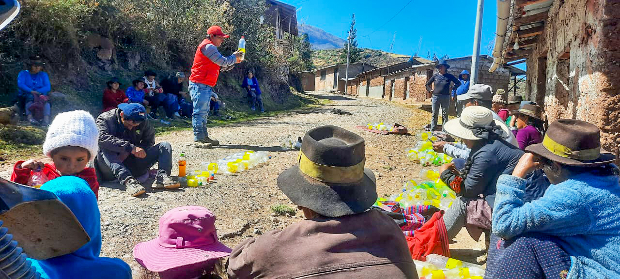 Vilcas Huamán intensifica labores para combatir la mosca de la fruta