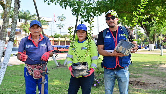Mejoran jardines de la Plaza 28 de Julio