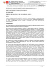 Vista preliminar de documento RJD-061-2024-DIAD