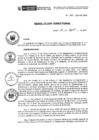 Vista preliminar de documento R.D.N.312-2024-INSN-DG