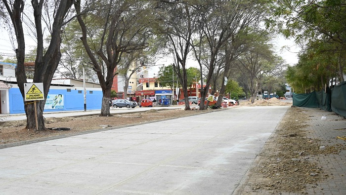Av. Las Palmeras