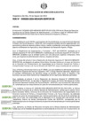 Vista preliminar de documento RDE-000203-2024-DE