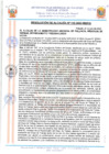 Vista preliminar de documento 22110