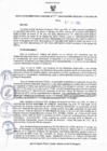 Vista preliminar de documento Resolucion 245