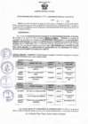 Vista preliminar de documento Resolucion 246