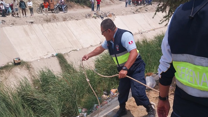 Serenazgo en acción